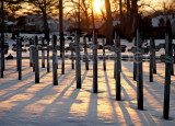 Shadows of the Fallen.jpg