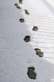 Footprints of the Photographer