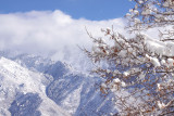 The Wasatch Mountains