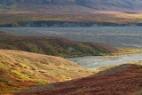 Parc Denali /  Denali Park