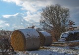 Winter at the Farm