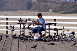 Feeding Birds