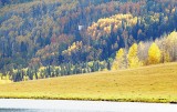 081_USA_Fall.jpg