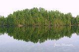 Miroir Naturel