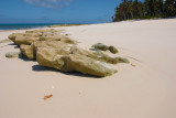 Seychelles Beach