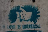 Love is universal