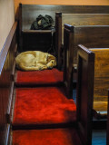 Off duty, Ebenezer Baptist Church, Martin Luther King, Jr. National Historic Site, Atlanta, Georgia, 2013