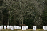 Natural embrace, Andersonville National Cemetery, Andersonville, Georgia, 2013