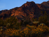 Dusk in the Superstition Mountains, Gold Canyon, Arizona, 2013