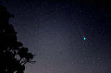 Comet Lemmon widefield