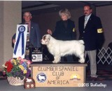 BOW 2003 CSCA National Specialty