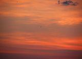 Red Bands of Jupiter with Strange Craft