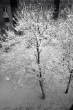 still winter