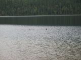 IMG_0470_a.jpg