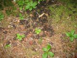 IMG_0480_a.jpg