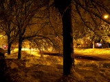 Nuit jaune enneigée