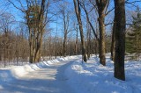 Une allée du parc