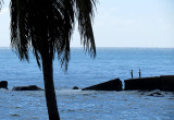 Pêche coté mer des Caraibes