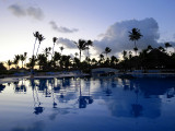 piscine et cocotiers au petit matin