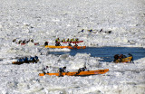 z-Course en canot  glace Carnaval de Qubec 10 fv 2013 198.jpg