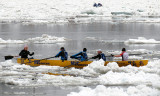 z-Grand dfi  des glaces 2013 528.jpg