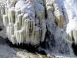 les orgues de glace