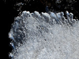 langue de glace