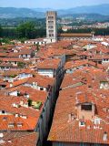 toits de Lucca et lglise San Frediano