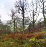 Near St Johns in the Vale church