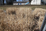 ir-130305__9158_11-38.jpg