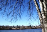 ir-130305__9163_11-54.jpg