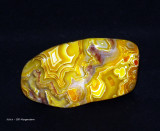 Crazy Lace Agate