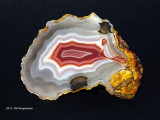 Laguna Agate 