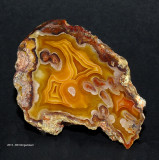 Laguna Agate