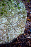DSC_4131 copy.jpg