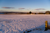11th March 2013 <br> pink snow