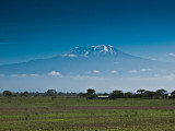 Mt. Kilimanjaro