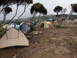 Shira Camp
