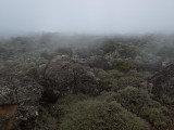 IMG_2566wp750.jpg