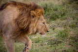 _MG_0132wp750.jpg