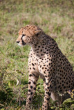 _MG_0245wp750.jpg