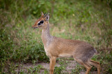 _MG_0284wp750.jpg