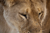 _MG_0365wp750.jpg