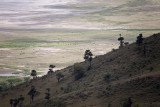 Ngorongoro