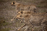 _MG_9768wp750.jpg