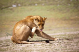 _MG_9779wp750.jpg