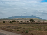 IMG_2750wp750.jpg