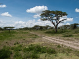 IMG_2837wp750.jpg