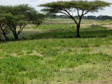 IMG_2838wp750.jpg