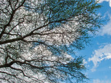 IMG_2857wp750.jpg